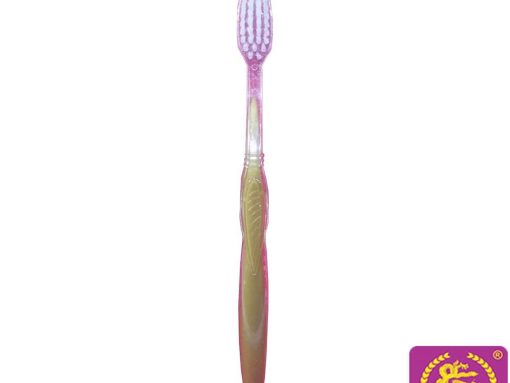 BÀN CHẢI 105 CÁN VÀNG