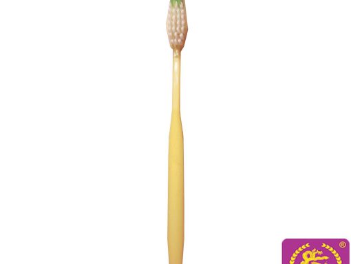 BÀN CHẢI 47 CÁN VÀNG