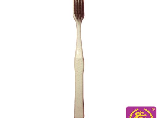 BÀN CHẢI CÁN SỪNG