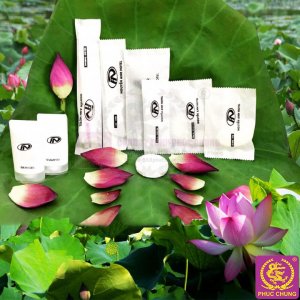 BỘ MÔI TRƯỜNG IN LOGO NGUYỄN ANH HOTEL