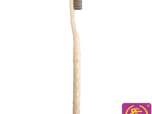 BÀN CHẢI BỘT BẮP PC