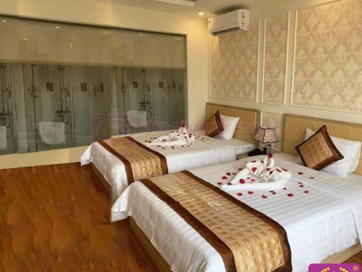 BỘ CHĂN GA GỐI M10