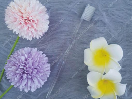 BÀN CHẢI 33 CÁN TRONG