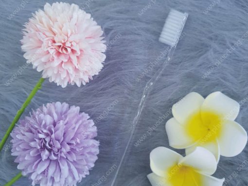 BÀN CHẢI 42 TRONG CƯỚC NHỌN