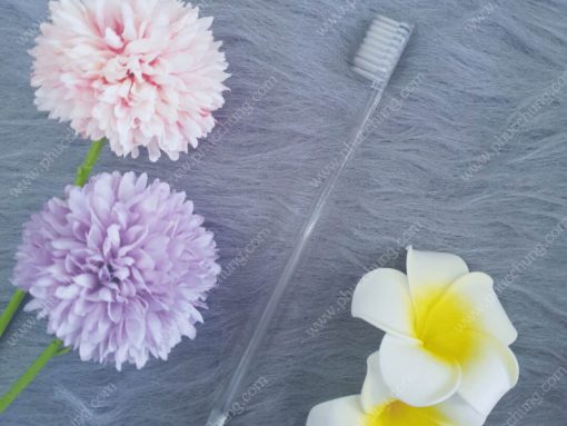 BÀN CHẢI HQ CÁN TRONG