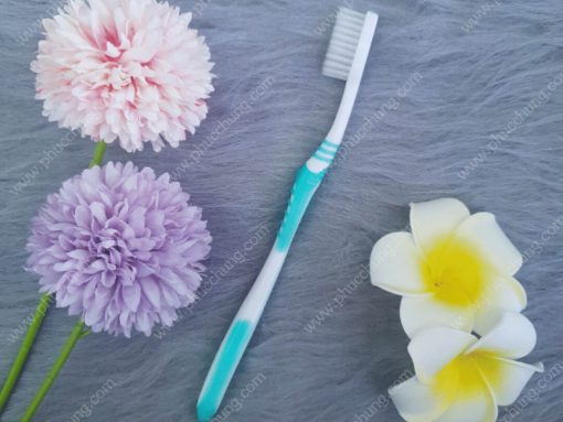 BÀN CHẢI JOLY XANH NGỌC BÍCH