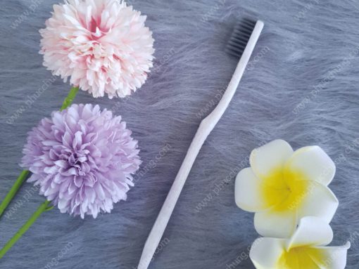 BÀN CHẢI CÁN SỪNG 2